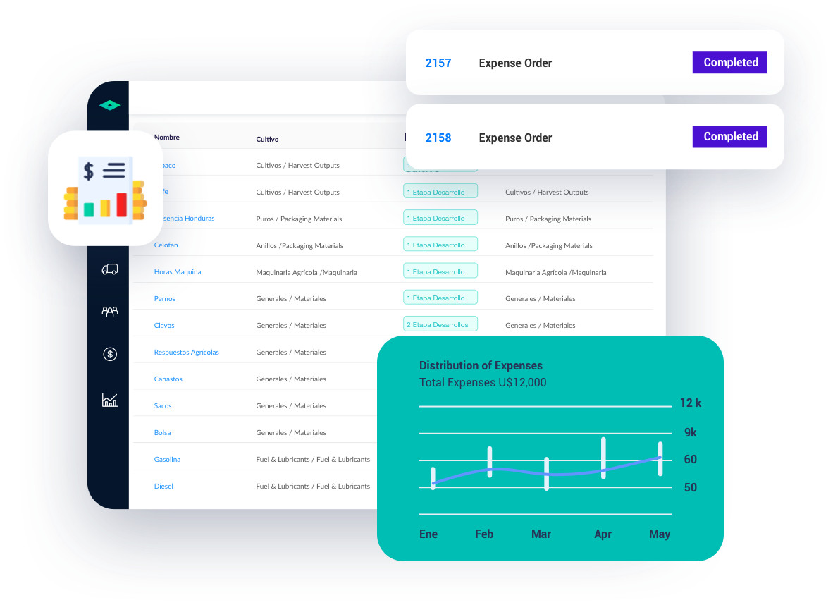 Accounting & Finance